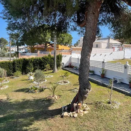 Hakim Torrevieja